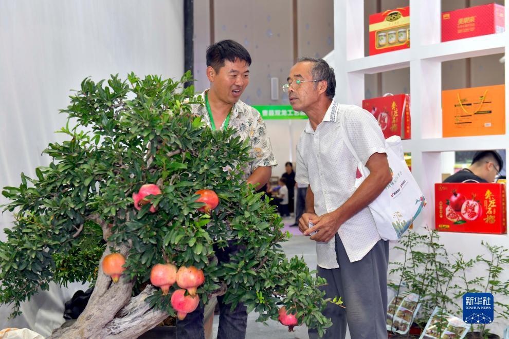 一角一分扎金花
